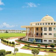 School of Business Management, Noida International University | Greater Noida