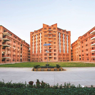 Sunstone: Sharda University | Greater Noida