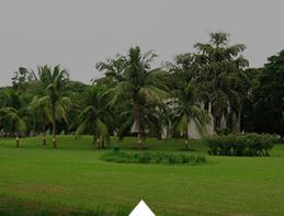 Village Fieldwork Segment
